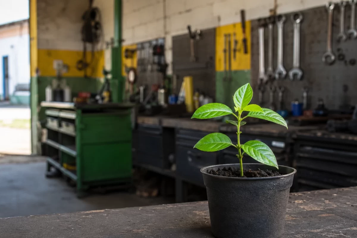 Muda de planta crescendo em bancada de oficina automotiva
